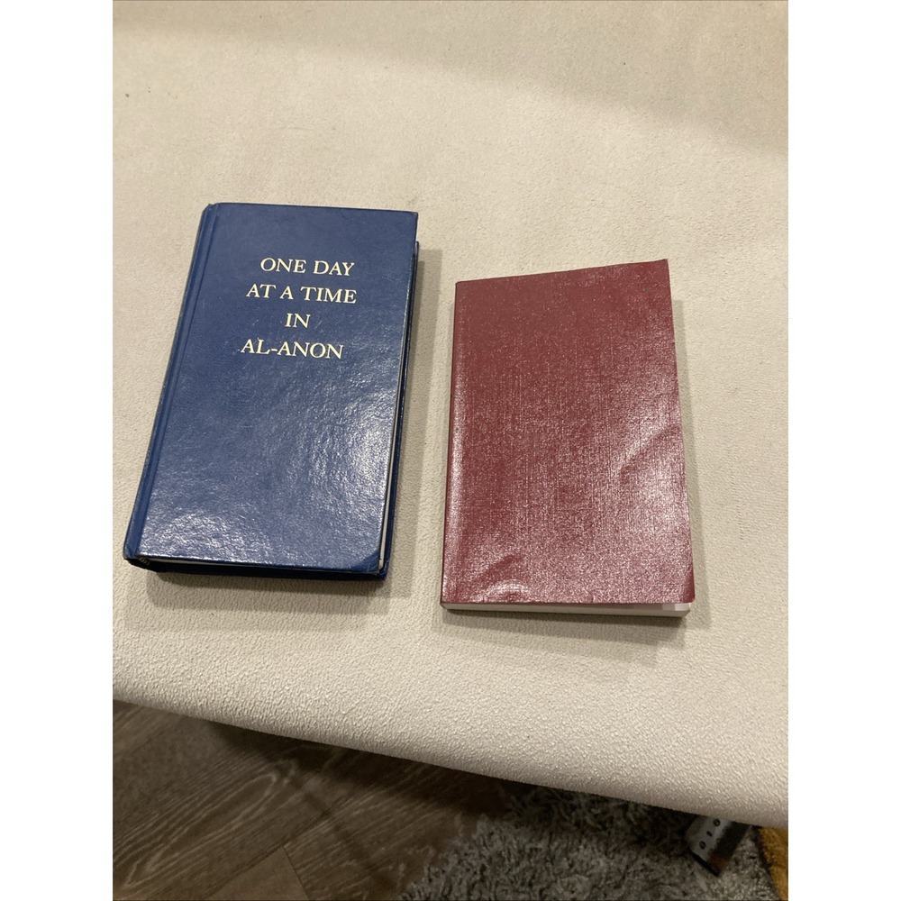 Lot‎ Of 2 Recovery Books
